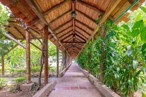 Zahrada ubytování Hotel Rancho Regis
