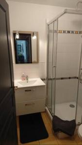 La salle de bains est pourvue d'un lavabo et d'une douche avec un miroir. dans l'établissement Beautiful ground floor 2 bedroom apartment, à Honfleur