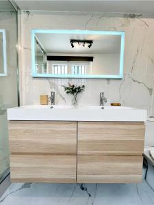 uma casa de banho com um lavatório e um espelho em L'Orangerie Royale 45m2, 4 Pers et Wifi disponible em Versailles