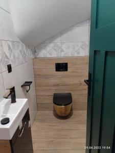 a bathroom with a toilet and a sink at IZERSKA WERANDA - Górski Apartament 120m2 in Świeradów-Zdrój