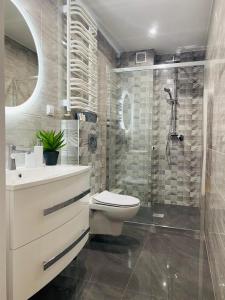 ein Bad mit einer Dusche, einem WC und einem Waschbecken in der Unterkunft Apartament Odpoczynek in Ustrzyki Dolne