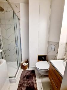 a bathroom with a toilet and a shower and a sink at Łuczański Apartament w sercu Giżycka in Giżycko