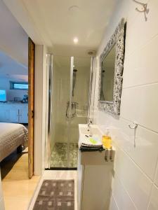 y baño con ducha, lavabo y espejo. en Studio Clematis Bergen, en Bergen