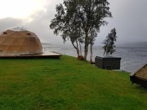 Příroda nedaleko luxury tent
