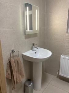a bathroom with a sink and a mirror at Cosy 2 Bedroom Cottage in Laconnell +20 photos