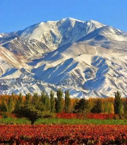 a snow covered mountain with a field and trees at Apartamento DELUXE Edificio Millenium in Mendoza