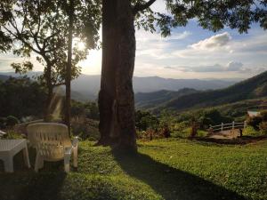 una sedia bianca seduta sull'erba sotto un albero di Ban Chomdoi Resort PhaTang a Ban Pha Tang