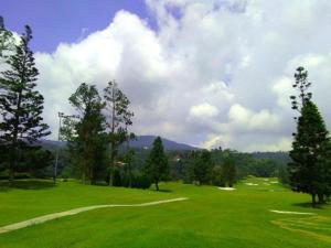 a golf course with trees and a green field at Barrington Square 2 Rooms Apartment at Golden Hill Night Market in Brinchang