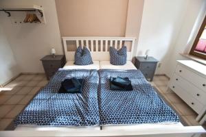 a bedroom with a blue and white bed with pillows at Ferienwohnung am Schwimmbachtal in Georgenthal +9 photos