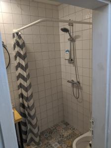 a bathroom with a shower with a shower curtain at Small cozy apartment near the center of Plovdiv in Plovdiv