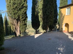 a driveway in front of a house with trees at La Casa delle Farfalle in Chiusi