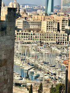 un grupo de barcos están atracados en un puerto en Luxe calme et volupté avec vue panoramique sur le vieux port, en Marsella