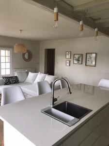eine Küche mit einem Waschbecken und ein Wohnzimmer mit einem Sofa in der Unterkunft Ambiance Seine - appartement 46m2 terrasse - Hortensia in Thomery