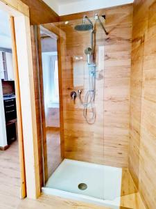 y baño con ducha y puerta de cristal. en Apartment 1913 en Ponticelli