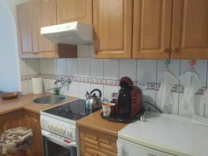 Η κουζίνα ή μικρή κουζίνα στο Apartament w Centrum Chełma +5 φωτογραφίες
