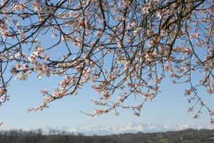 Gallery image of La Maison de Bazugues in Bazugues