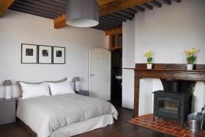 a bedroom with a bed and a fireplace at La Maison de Bazugues in Bazugues +25 photos