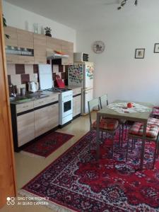 A kitchen or kitchenette at Agro privat