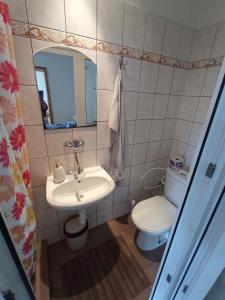 ein Badezimmer mit einem Waschbecken, einem WC und einem Spiegel in der Unterkunft Agro privat in Hrabušice