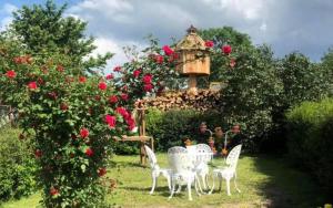A garden outside Agro privat