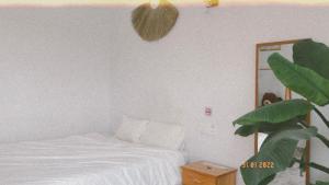 um quarto com uma cama e um vaso de plantas em Rot Homestay em Da Lat