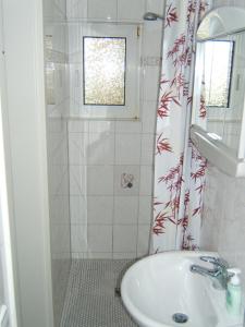 ein kleines Bad mit einem Waschbecken und einer Dusche in der Unterkunft Ferienwohnung Robby in Fulgen