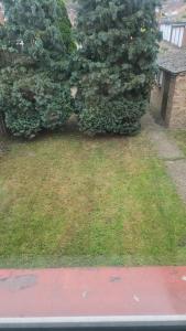 a view of a yard with trees and grass at Cozy one bed flat in Dartford
