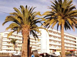Fotografie z fotogalerie ubytování Las Camelias Apartments CI15 v destinaci Playa del Ingles