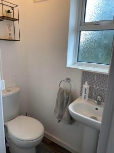 a bathroom with a toilet and a sink and a window at Spacious & modern 3 bed house in Stafford