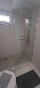 a bathroom with a glass shower with a toilet at Agia Roumeli APARTMENT in Agia Roumeli