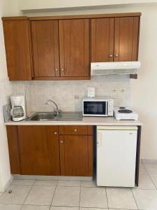 Kuchyň nebo kuchyňský kout v ubytování Poseidon Studios & Apartments + 13 fotografií