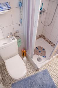a bathroom with a shower with a toilet and a sink at Haus Haeger in Dahme +86 photos