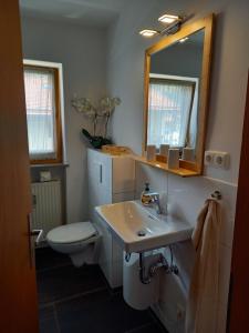 a bathroom with a sink and a toilet and a mirror at Ferienwohnung Bayrischzell in Bayrischzell