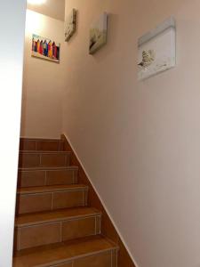 Fotografie z fotogalerie ubytování Apartamentos San Bruno Canela v destinaci Isla Canela