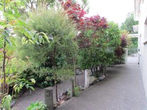 a garden with trees and bushes and a walkway at Sea Haven Homestay B&B in Raumati Beach