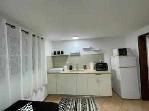 a kitchen with a sink and a white refrigerator at אל מול חרמון- דירה באווירה כפרית עם נוף לחרמון in Sheʼar Yashuv