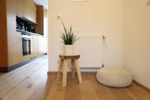 A kitchen or kitchenette at Bio Apartment - Der Steinadler
