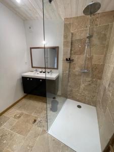 ein Badezimmer mit Dusche und Waschbecken in der Unterkunft La Bohème Vannes, Penty centre ville proche gare in Vannes + 26 Fotos