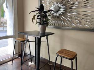a table with a potted plant and two stools at Hotel Regina in Sète