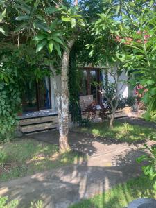 a tree in front of a building with a bench at Bobo Bungalow in Nusa Lembongan
