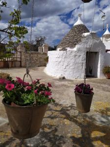 dwa kwiaty doniczkowe przed białym budynkiem w obiekcie Trulli Demetra w mieście Martina Franca