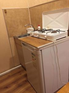 Kuchyň nebo kuchyňský kout v ubytování Apartment Zaziashvili 30 + 27 fotografií