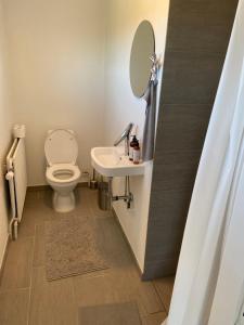 La salle de bains est pourvue de toilettes, d'un lavabo et d'un miroir. dans l'établissement Viking Surf House, à Klitmøller