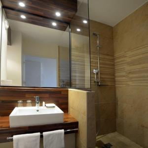 La salle de bains est pourvue d'un lavabo, d'une douche et d'un miroir. dans l'établissement Hôtel Le Biarritz, à Biarritz