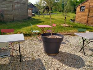 a potted tree in a pot next to a picnic table at Chez Catherine et Laurent in Ploemeur