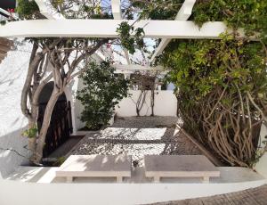 錫尼什的住宿－Parfum de la Mer，白色建筑下面的一条带两个长椅的走道