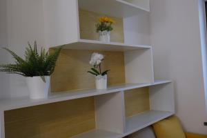 a white shelf with three potted plants on it at Villa Salvius Pompei in Pompei