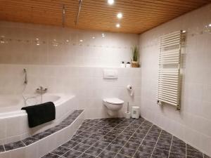 a bathroom with a toilet and a bath tub at Ferienhaus Chiara, Südharz, Harztor in Ilfeld