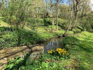 a creek in a field with flowers and trees at Le moulin de la Castellerie in Moon-sur-Elle