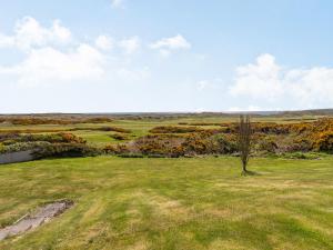 a tree in the middle of a field of grass at Craigievar in Cruden Bay